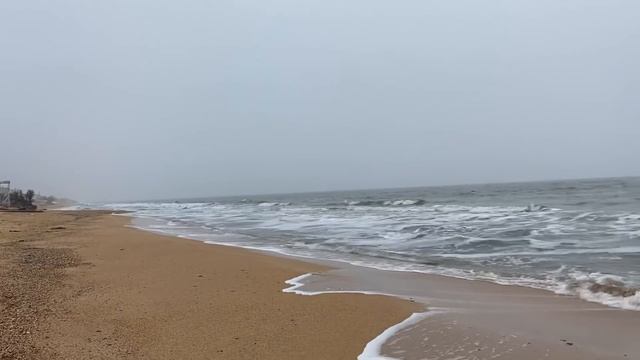 ПОЗДРАВЛЯЕМ МУЖЧИН! ОТДЫХАЕМ САМИ. смотреть онлайн