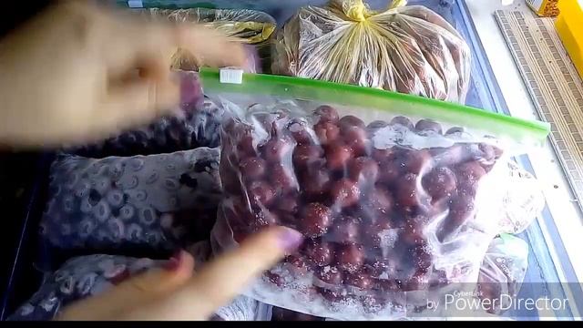 Обзор и Организация в Морозильной камере ( Заморозка ягод) смотреть онлайн