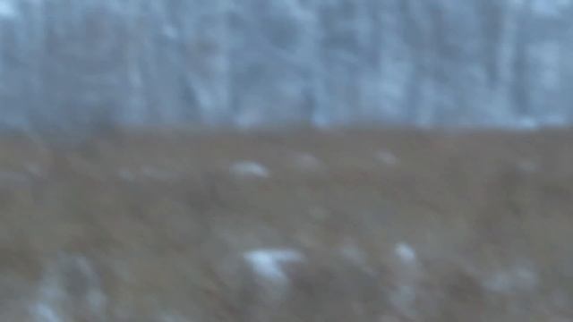 Снежный человек в Омской области 2015 смотреть онлайн