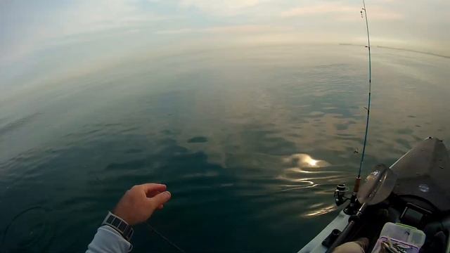 Kayak Fishing Kuwait and Catching Flounders & Cuttlefish Using Berkley Gulp Soft Plastics смотреть онлайн