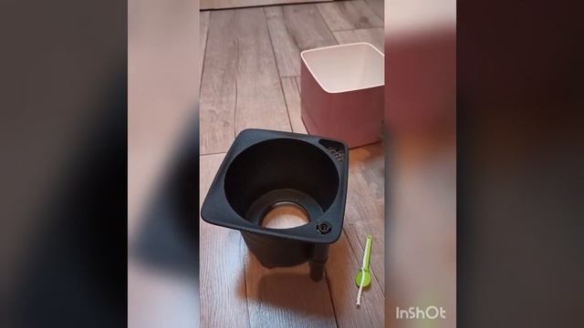 Kroo By Plant And Pots