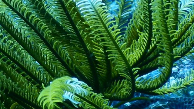 Guess The Picture | Ep. 10