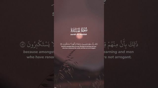 لتجدن أشد الناس عداوة للذين آمنوا اليهود والذين أشركوا 📖وتلاوة متأثرة للشيخ سعود الشريم 😵تابع وسجل👍 смотреть онлайн