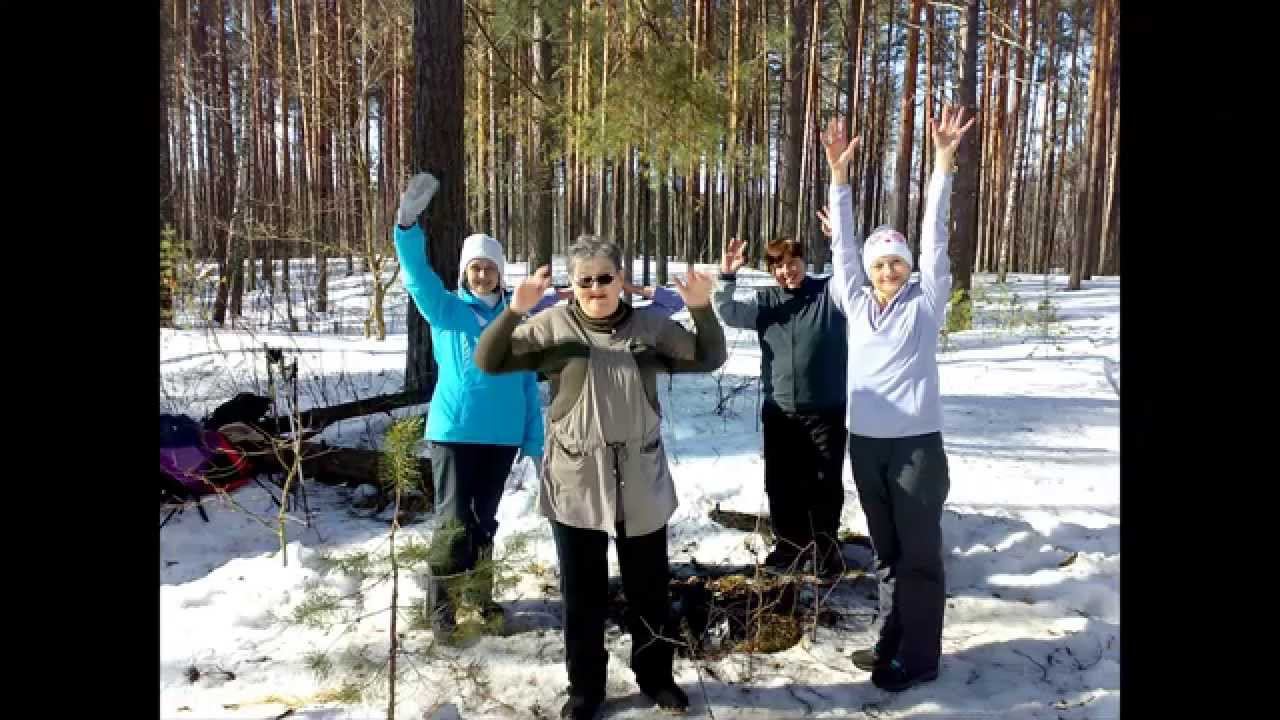 Скандинавская ходьба во Владимире. Прогулка в лесу.