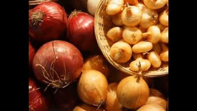 Информация о Луке смотреть онлайн