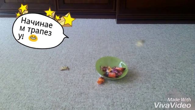 Магия 2))) смотреть онлайн