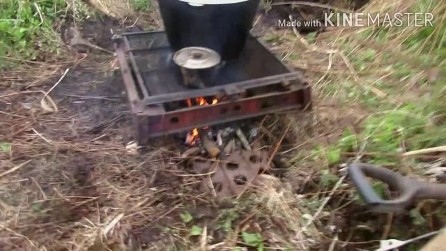 Папоротник "страусопёр герма́нский" (Сигизмунд Сигизмундович) какой на вкус? смотреть онлайн