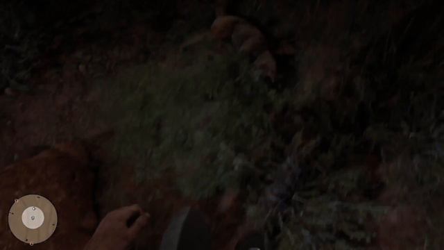 Red Dead Online - Dying coyote random event (Flint Arrowhead) смотреть онлайн