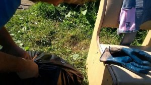 Гуси на мясо выгодно или нет !?