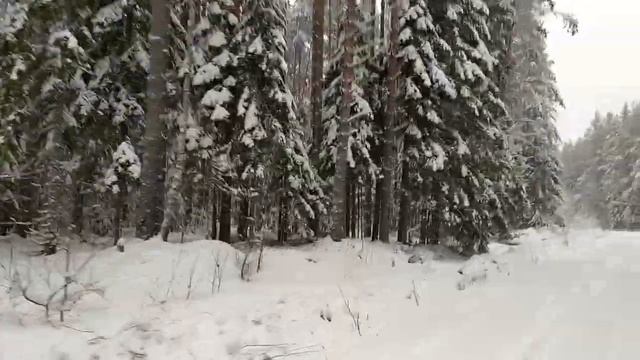 На снегоходах в Карелии ч.2 смотреть онлайн
