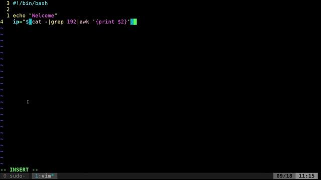 Retrieve Standard Input Output Piped to Linux Shell Programming BASH Script Tutorial смотреть онлайн