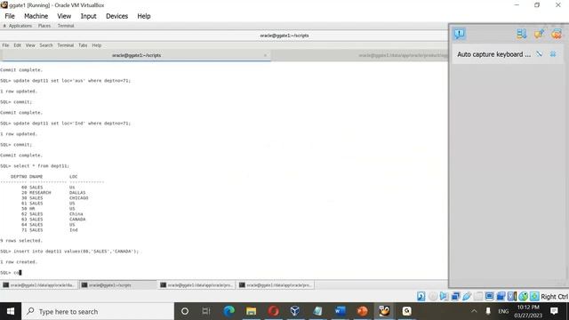 Oracle Goldengate Parallel Replicat and Data Manipulation using OGG смотреть онлайн