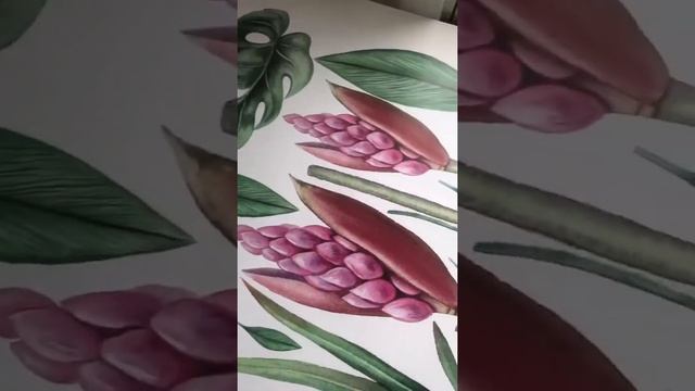 Интерьерные наклейки на стену Сиамский тюльпан StickMeNow смотреть онлайн