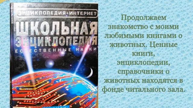 Я люблю читать книги о животных.wmv смотреть онлайн