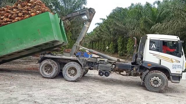 Salm anak Rantau sibu Sarawak Malaysia смотреть онлайн