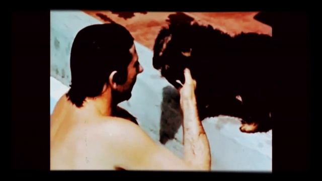 Sharon Tate & Roman Polanski ~ Feelings and memories смотреть онлайн