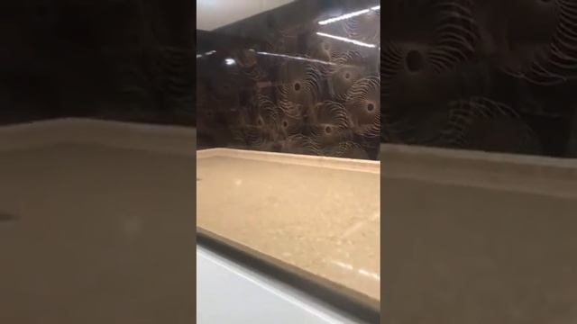 BRAUDI. Видео от покупателя.