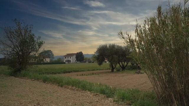 Omaggio a Castelfranco di Sotto смотреть онлайн