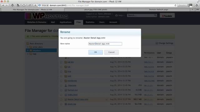 Using the File Manager in Plesk 12 смотреть онлайн