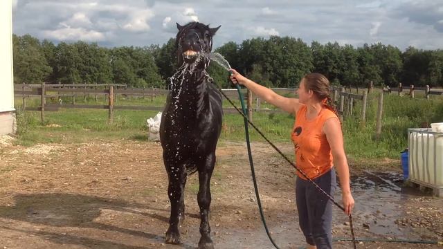 Мытьё Магнита смотреть онлайн