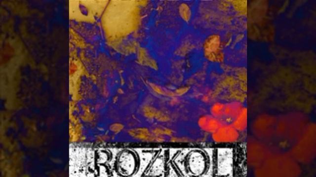 ROZKOL - Chase Scene смотреть онлайн