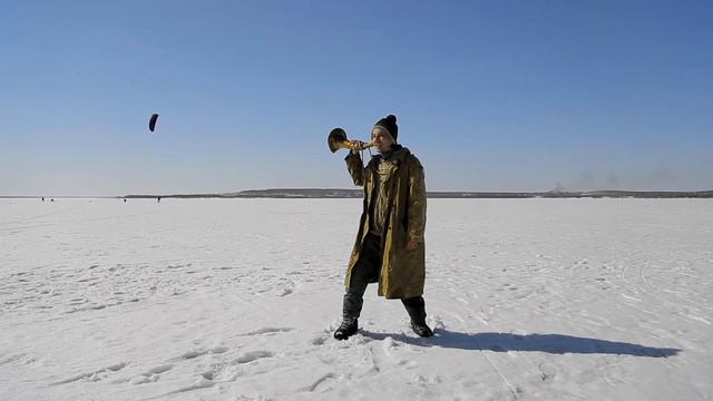 Воздушный Шариков - Карасики