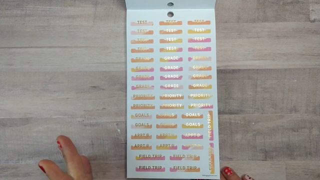 New Sticker Book Flip Through - Groovy Teacher Big - Happy Planner Back To School Release 2022 смотреть онлайн