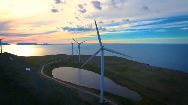 СТИХОТВОРЕНИЕ «СТАЯ ПТИЦ» смотреть онлайн