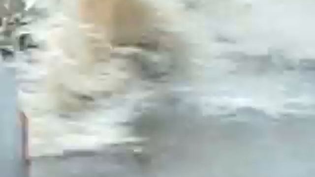 Ульяновск "тонет" смотреть онлайн