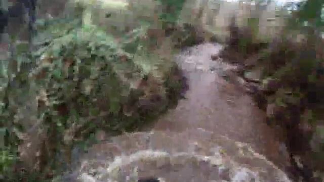 SUZUKI LTR 450 - 07/02/2010 смотреть онлайн