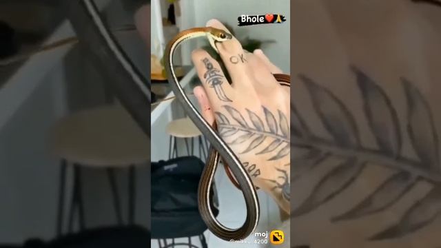 May 20, 2021 смотреть онлайн