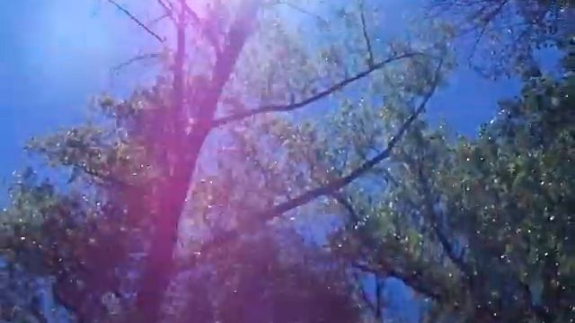 Красавица- Самарская Лука! смотреть онлайн