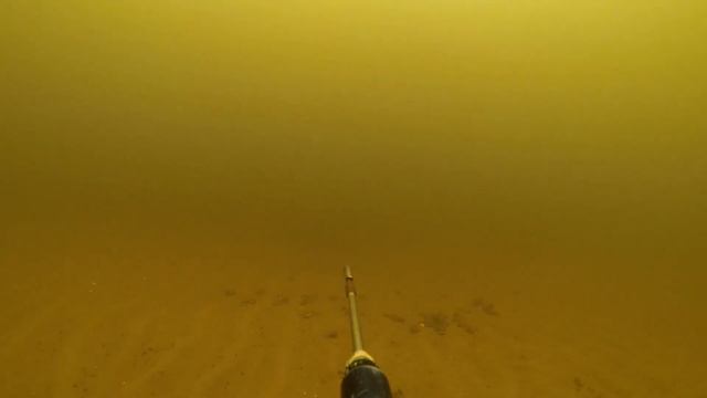 ВОЛГА ! САРАТОВ ! Низа ! осенняя охота ОКУНЬ СУДАК !!! смотреть онлайн