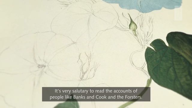 Sir David Attenborough on Joseph Banks смотреть онлайн