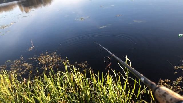 Рыбалка на щуку в октябре.На кружки и спининг.На живца.Красивая природа. смотреть онлайн
