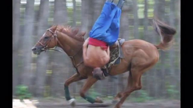 A Cossack strolled along the Don смотреть онлайн
