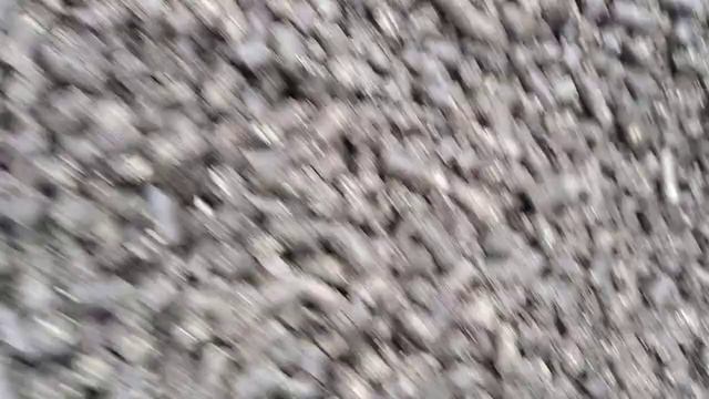 8 сентября 2021 г. смотреть онлайн