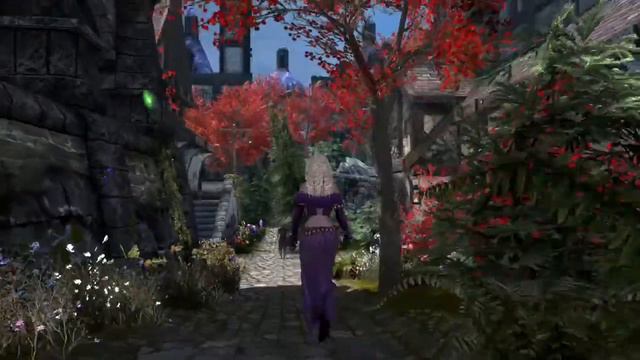 *Organic Skyrim - Cities* Mod - Solitude Walkthrough Skyrim SE Xbox One смотреть онлайн