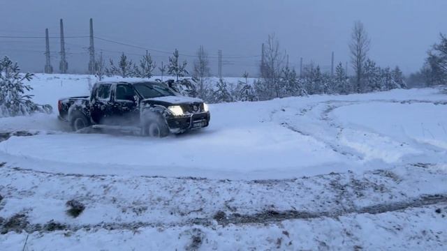 Nissan Navara  D40