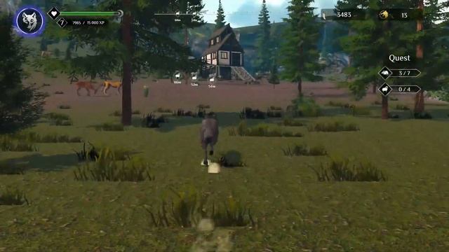 Wolf Simulator : RPG Survival Animal Battle