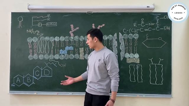 Биологические мембраны. Биохимия смотреть онлайн