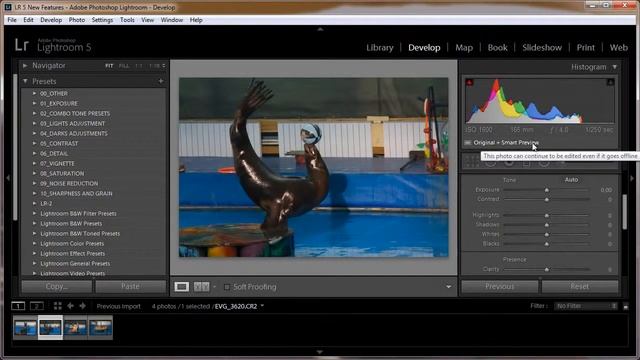 Часть 1 Новое в Lightroom 5 Smart Preview