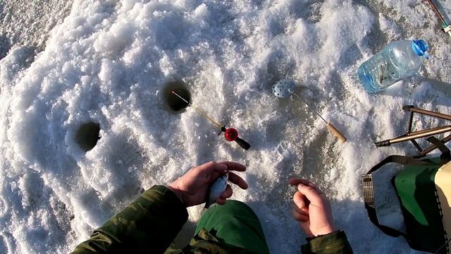 ДОЖДАЛСЯ!!! Бешеный клев по весеннему льду. Рыбалка на малой речке. смотреть онлайн