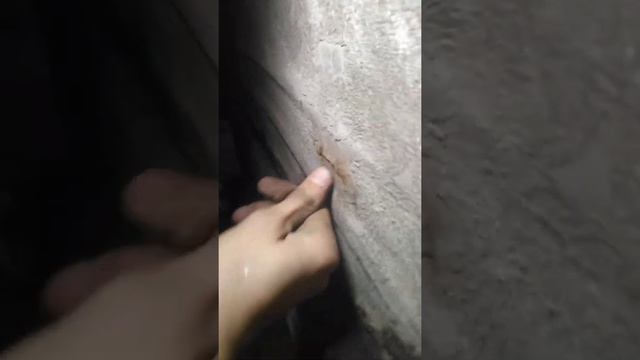 Внутренний шрус 2109