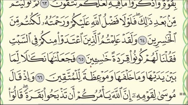 Урок № 3 Красивое чтение суры аль Бакара , аяты 58 76 #коран #бакара #нарзулло #АрабиЯ