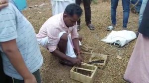 Пчеловодство. Индийское пчеловодство. Как создают отводки в Индии. #Пчеловодство #отводки_пчёл