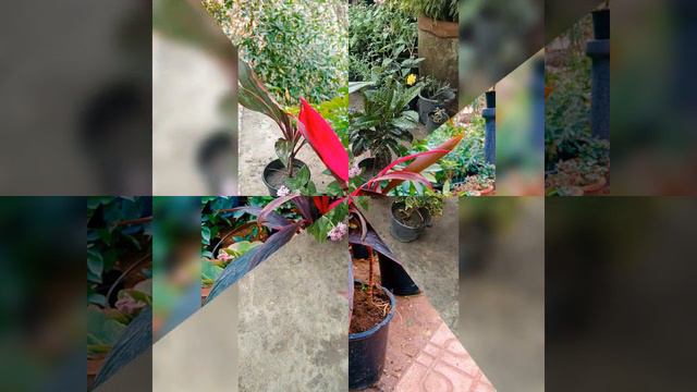 منظر طبيعي خلاب 💙 смотреть онлайн