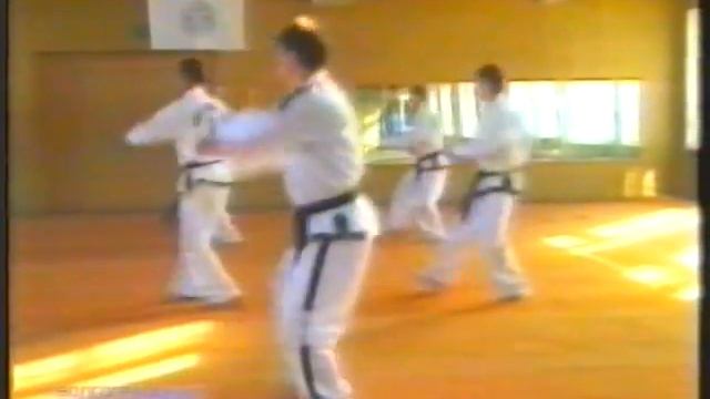 Тхэквондо ИТФ в Волгограде - 2001г. смотреть онлайн