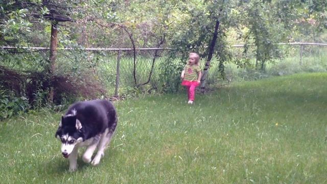 Em meets Tara смотреть онлайн