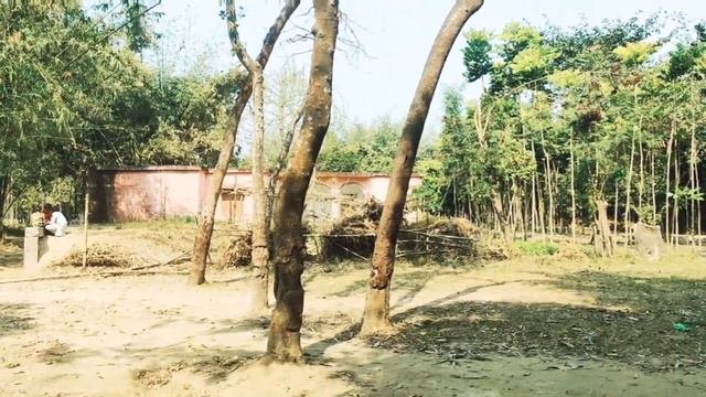 Childrens Challenge IPL 📢 #Ammi